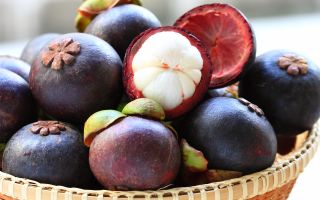 Mangosteen: kapaki-pakinabang na mga katangian ng prutas, larawan, nilalaman ng calorie, contraindications