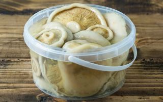 Why salted milk mushrooms are useful