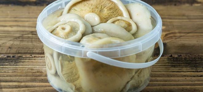 Why salted milk mushrooms are useful