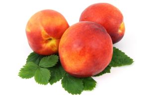 Is it possible to use nectarines for type 1, 2 diabetes