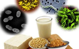 Gut Foods: A List of Probiotics and Prebiotics