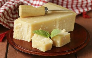 Why Parmesan cheese is useful for health: chemical composition, how many calories, harm