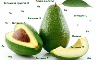 Useful properties and contraindications of avocado