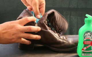 How to remove fungus from shoes: how to treat it at home