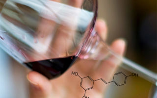 Why is sulfur dioxide added to wine, the effect on the body