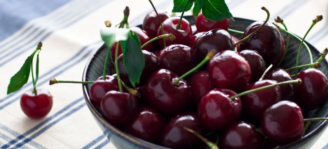 Why cherries are useful for the human body