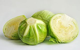 Why is white cabbage useful, properties and preparation