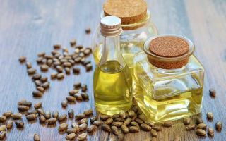 Why castor oil is useful, instructions for use at home