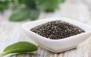 Chia seeds: benefits and harms, how to take for weight loss, recipes