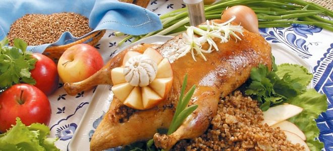 Guinea fowl meat: useful properties and harm