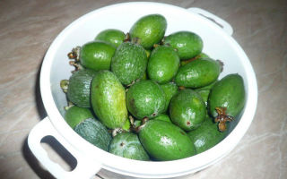 How to make feijoa jam: the most delicious recipes with photos