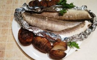 Fish Argentina: zdjęcie i opis, korzyści i szkody