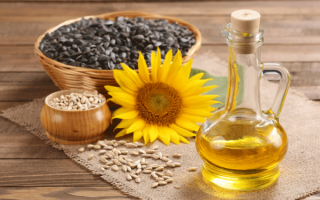 Sunflower oil: benefits and harms, composition, which is better