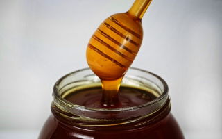 Why Altai taiga honey is useful: reviews with photos