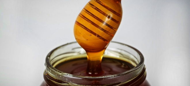 Why Altai taiga honey is useful: reviews with photos