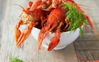 Why boiled crayfish are useful for humans