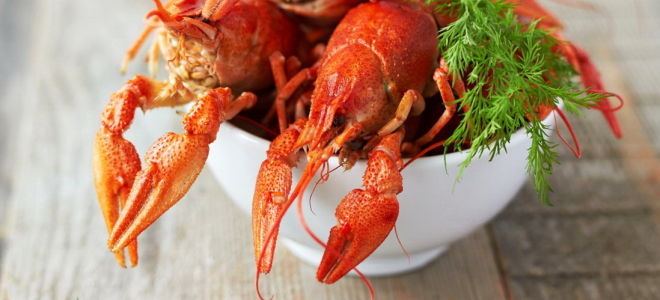 Why boiled crayfish are useful for humans