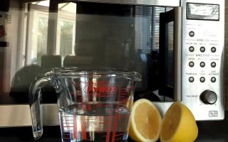 How to quickly clean the inside of the microwave from fat with lemon: method in 5 minutes, with water, soda