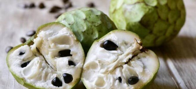 Cherimoya: foto buah, rasa, kandungan kalori, ulasan