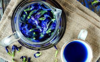 Blue tea from Thailand: beneficial properties, chemical composition, contraindications