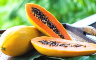 Papaya: kapaki-pakinabang na mga katangian at contraindications