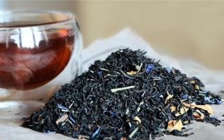 Bergamot tea: kapaki-pakinabang na mga pag-aari at contraindications