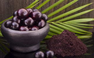 Acai berry: kapaki-pakinabang na mga katangian at contraindications