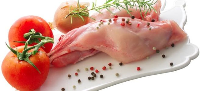 The benefits and harms of rabbit meat, reviews