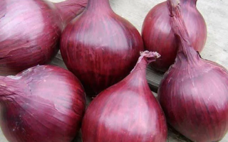 Red onions: useful properties, how to cook