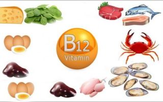 Why vitamin B12 is useful and what is it for