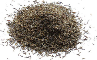 Cumin seasoning: application, what dishes it suits, how is it useful for the body