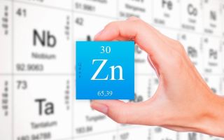 Why does the body need zinc, where it is contained, the daily rate