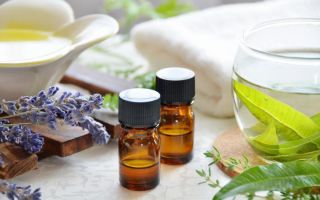 Uses and properties of lemon verbena essential oil