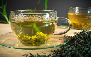 Green tea: beneficial properties, contraindications, lowers or increases blood pressure