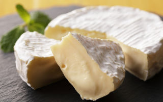 The benefits and harms of camembert cheese with white mold: how many calories are in 100 grams, how to store, is it possible for pregnant women