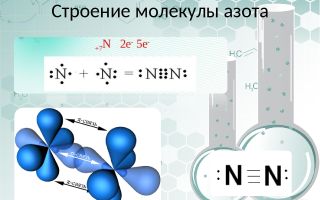 Products containing nitrogen: table + list