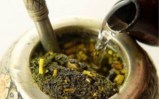 Mate tea (Mate): faedah dan keburukan, ulasan