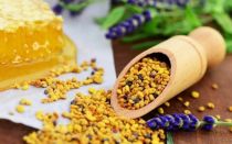 Pollen: useful properties and contraindications, how to take