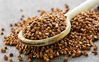 Why buckwheat is useful, properties and contraindications