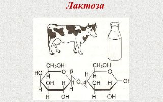 Lactose: where it is contained, benefits and harms