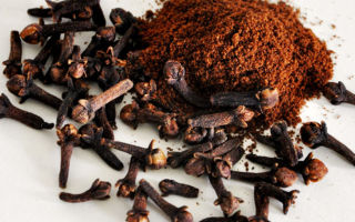 The benefits and harms of cloves for the body, application