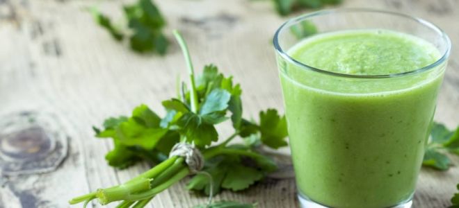 Parsley juice: health benefits and harms, how to take