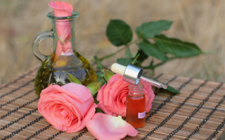 Rose essential oil: Damask, Moroccan, Bulgarian and tea