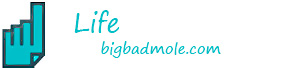 life.bigbadmole.com/ro/